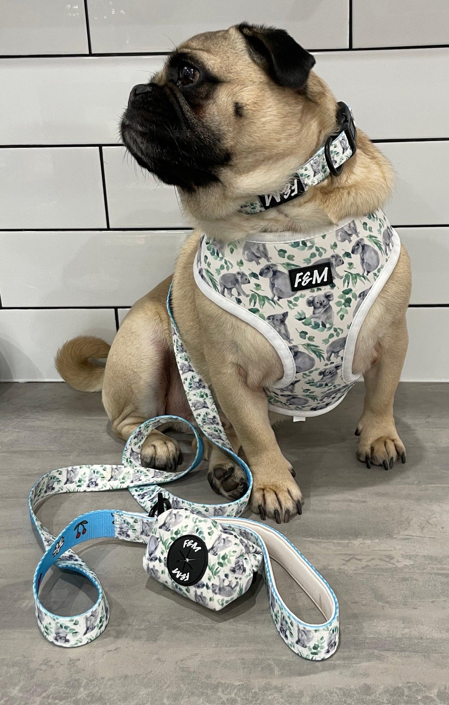 F & M Koala Reversable Harness Set 6 piece - The Dog Shop Warners Bay