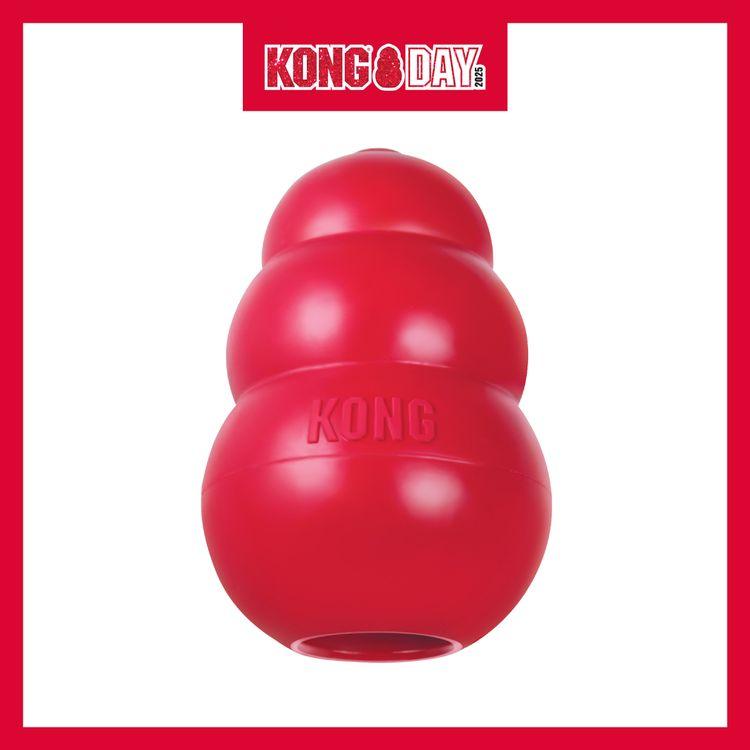 The Ultimate Story of How the Kong Classic Came to Be