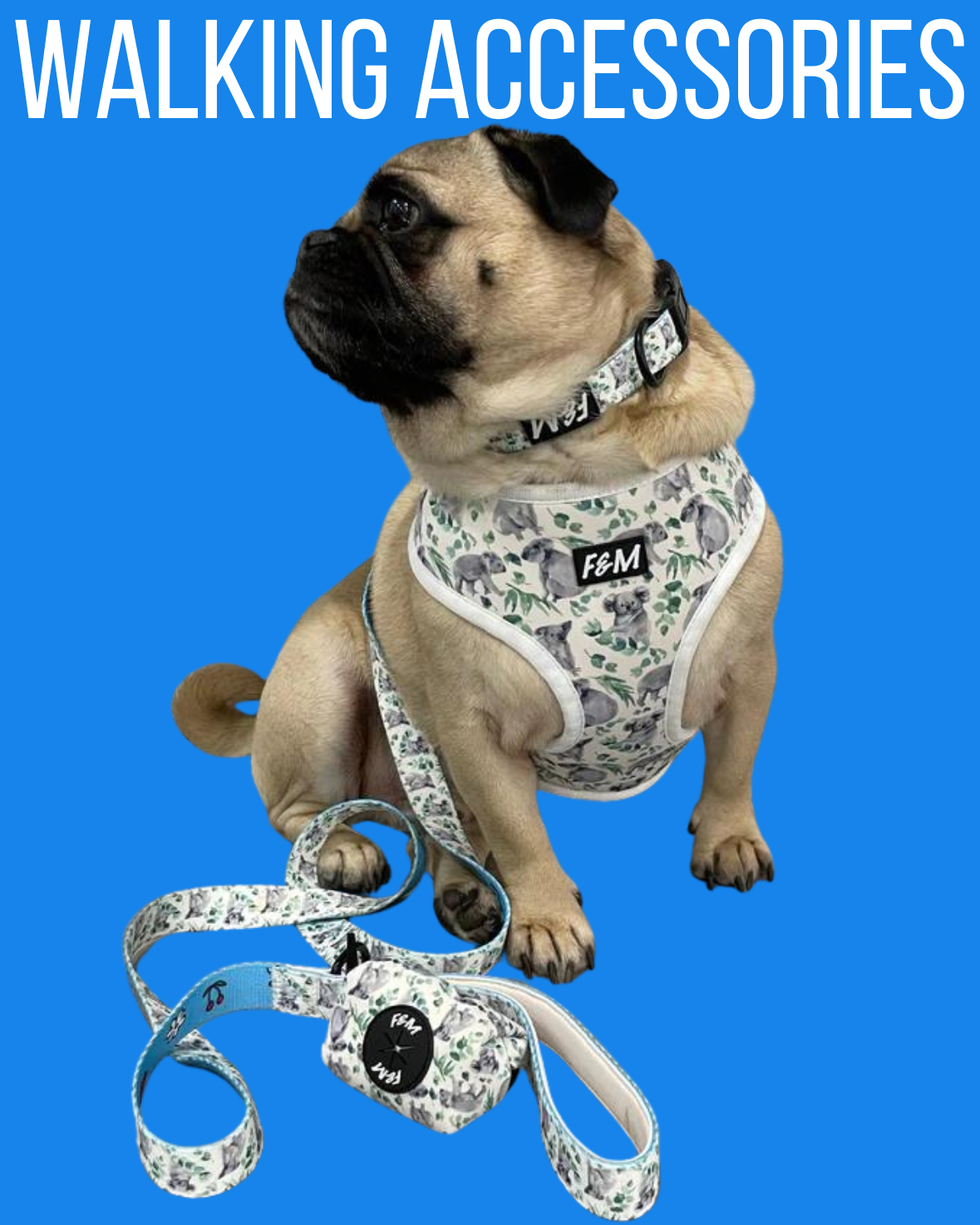 Dog Walking Accessories