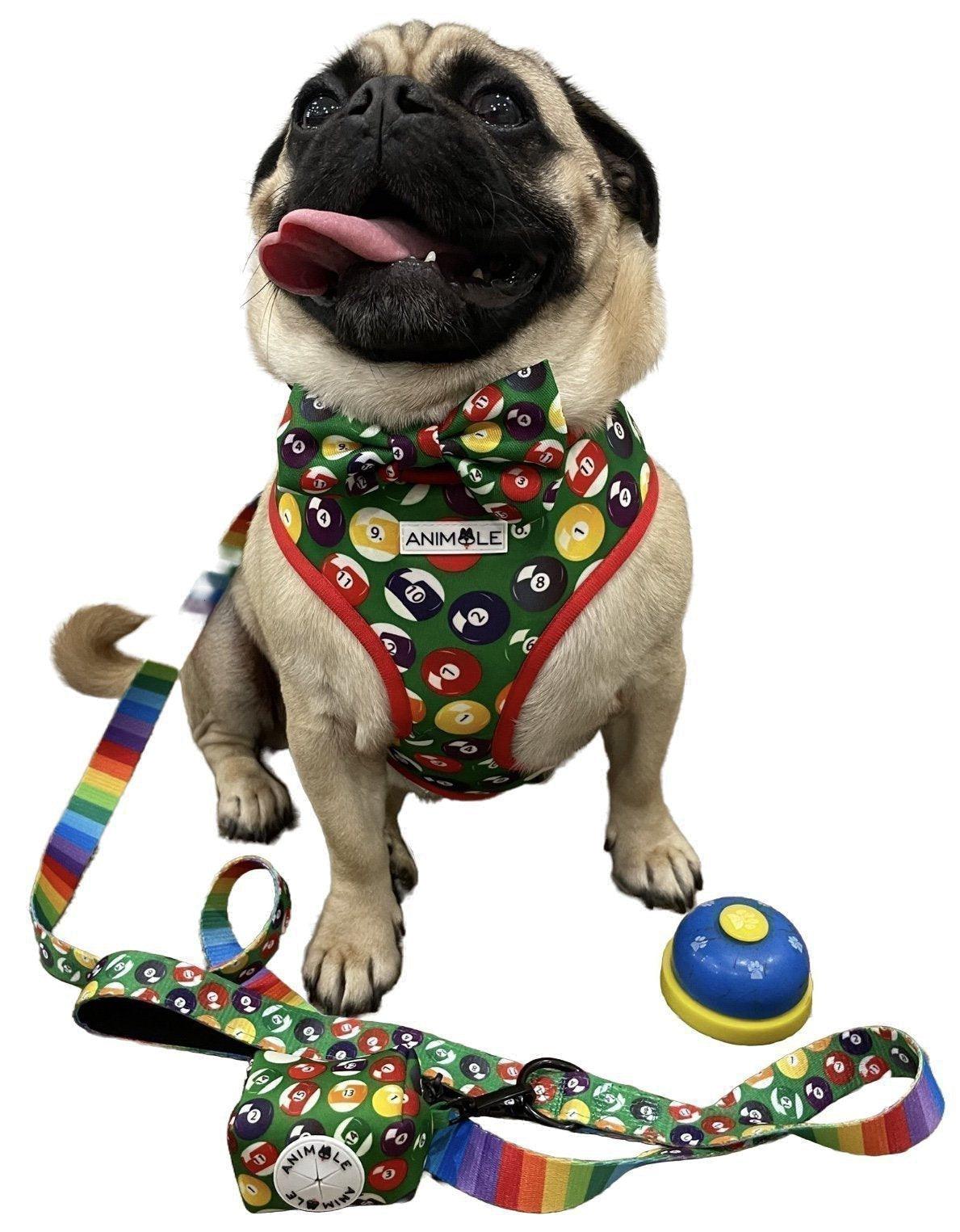 Animale Dog Harness, Leads & Collars