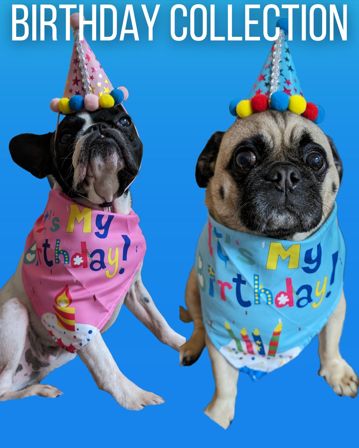 Dog Birthday Collection