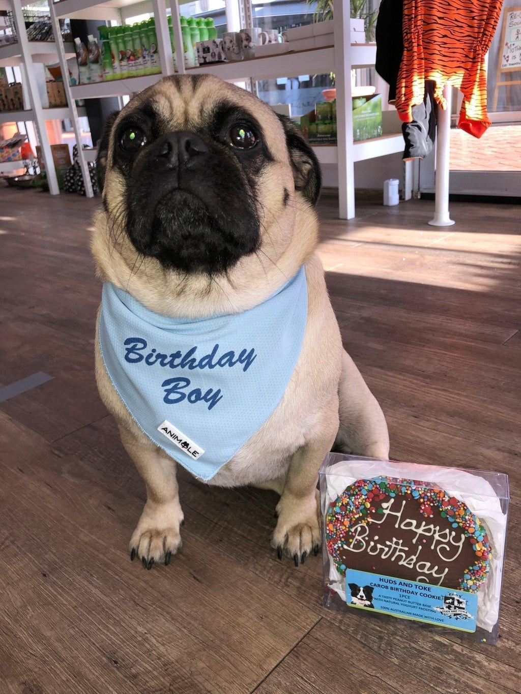 Dog Birthday Collection