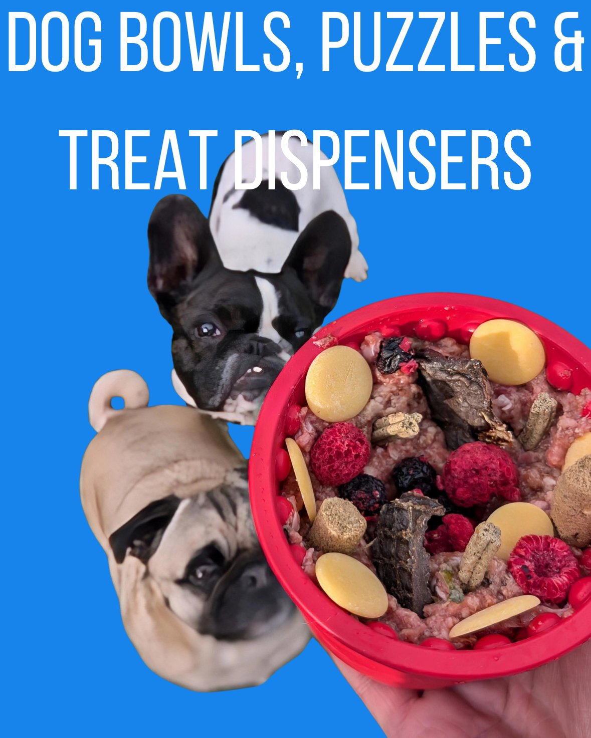 Dog Bowls, Puzzles & Treat Dispensers