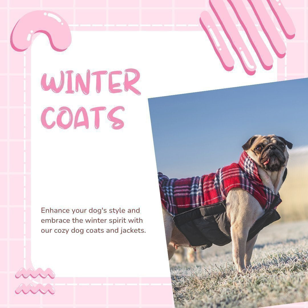 Dog Coats & Jackets