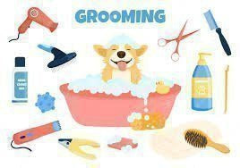 Dog Grooming Supplies