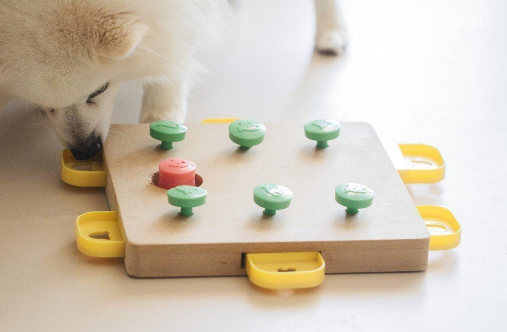 Dog Slow Feeder Bowls & Puzzles