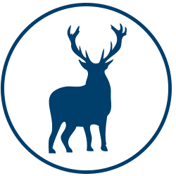 Goat, Venison, Emu Dog Treats