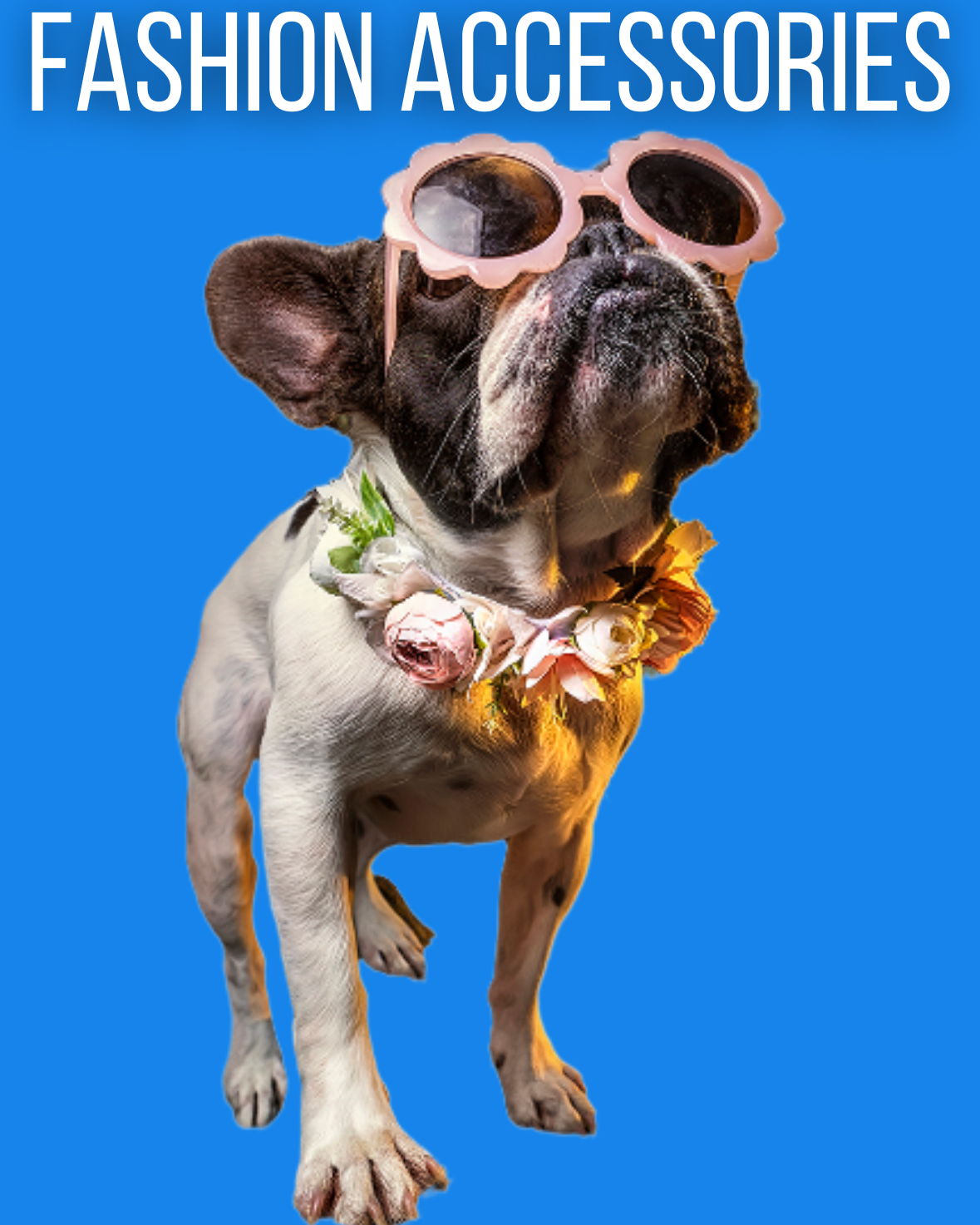 Dog Fashion Accessories