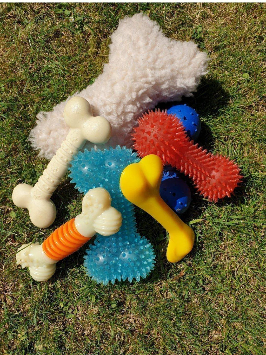 Tough Dog Toys