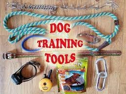 Training Aids - The Dog Shop Warners Bay