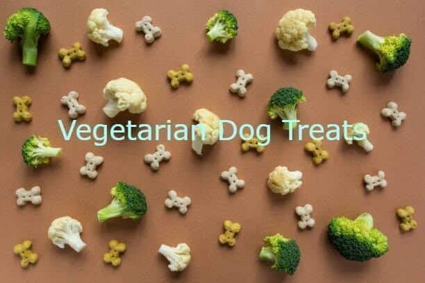 Vegetarian Dog Treats - The Dog Shop Warners Bay