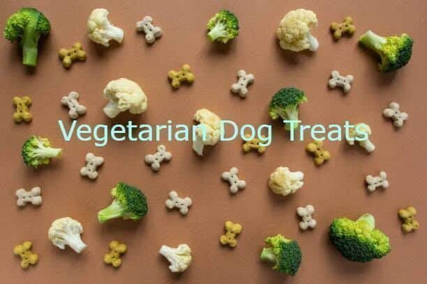 Vegetarian Dog Treats
