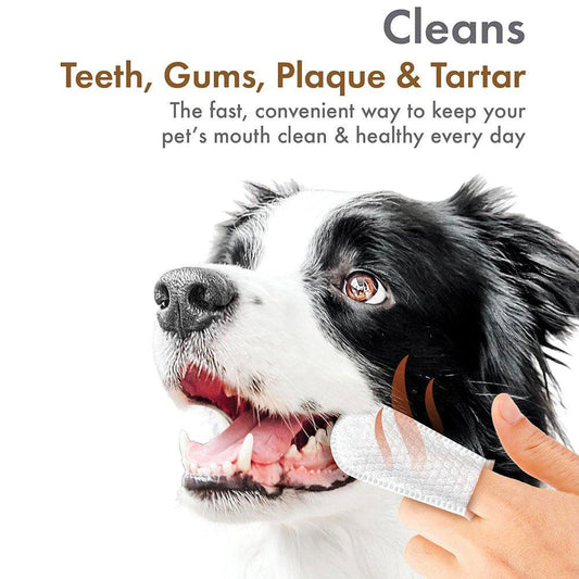 Petkin Fingertip Tooth Wipes 50pk