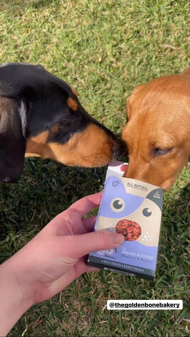 Immune Booster Dog Treats