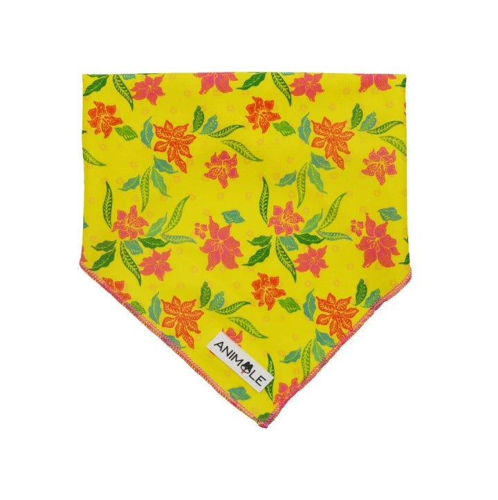 Animale Cooling Bandanna [SIZ:Small COL:Tropical Sensation]