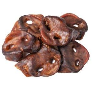 Pig Snout