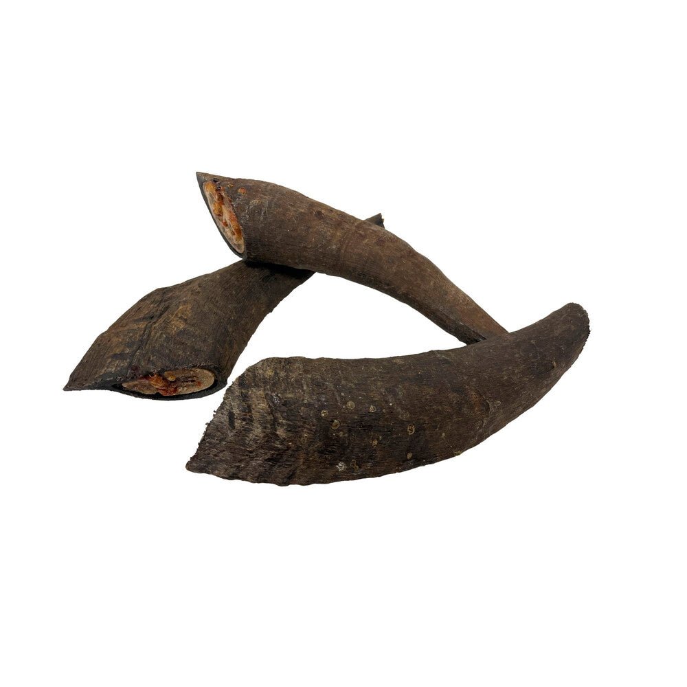 Goat Horn Dog Treat Medium