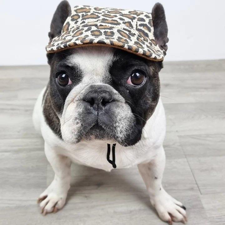 Dog Cap