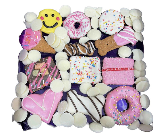Biscuit Treat Gift Boxes For Dogs