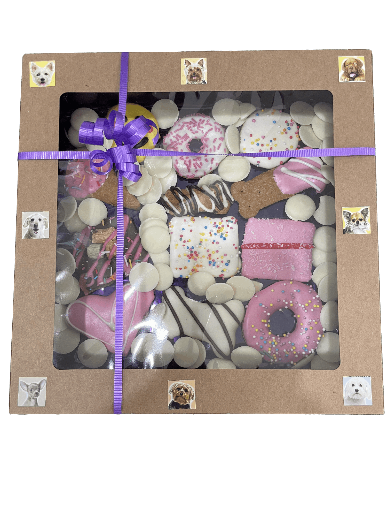 Biscuit Treat Gift Boxes For Dogs