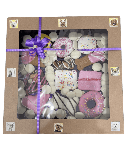 Biscuit Treat Gift Boxes For Dogs
