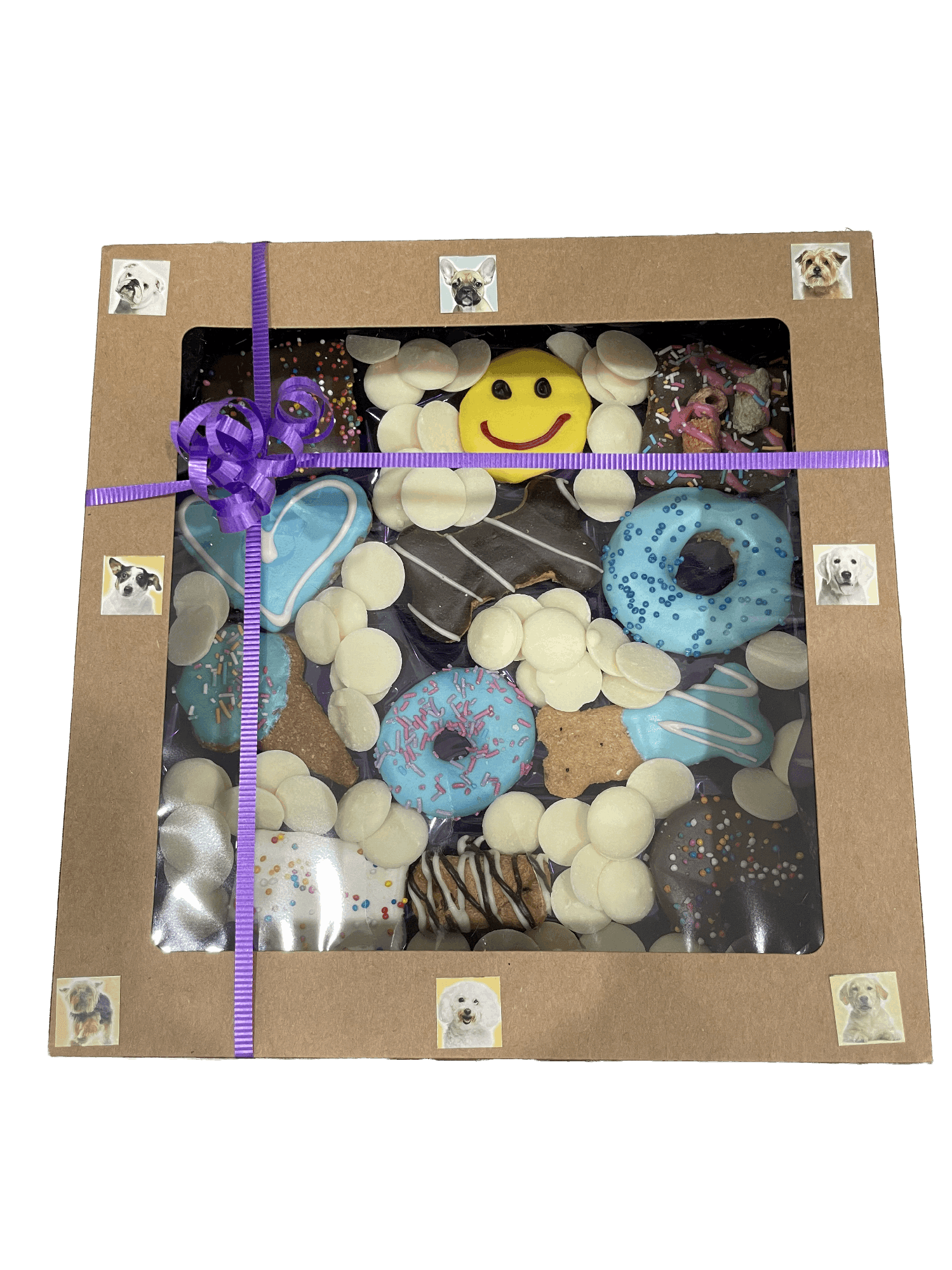 Biscuit Treat Gift Boxes For Dogs