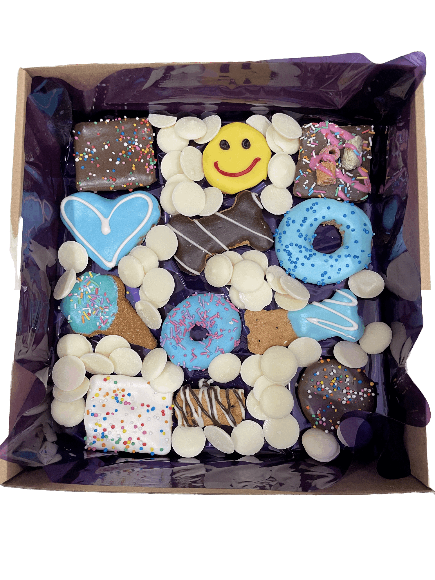Biscuit Treat Gift Boxes For Dogs
