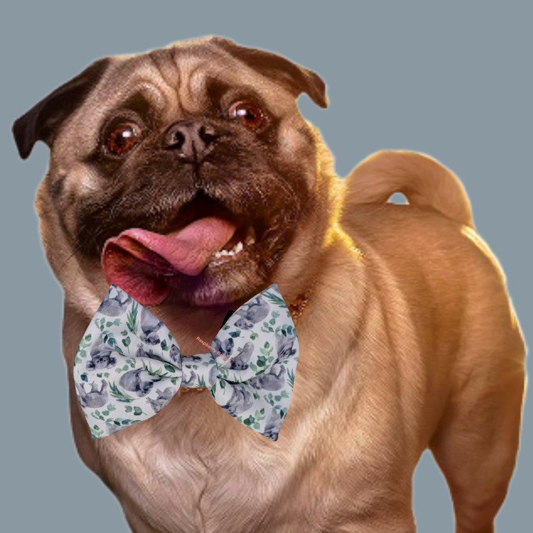 Fifi & Max Dog Bow Tie Koala