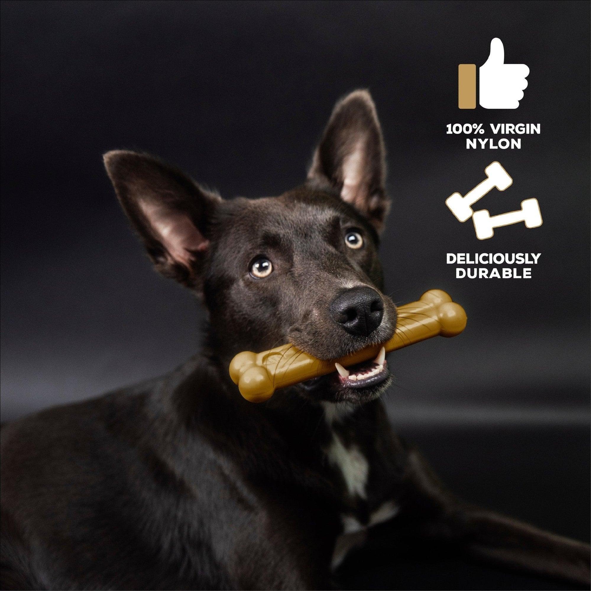 Tasty Bone Nylon