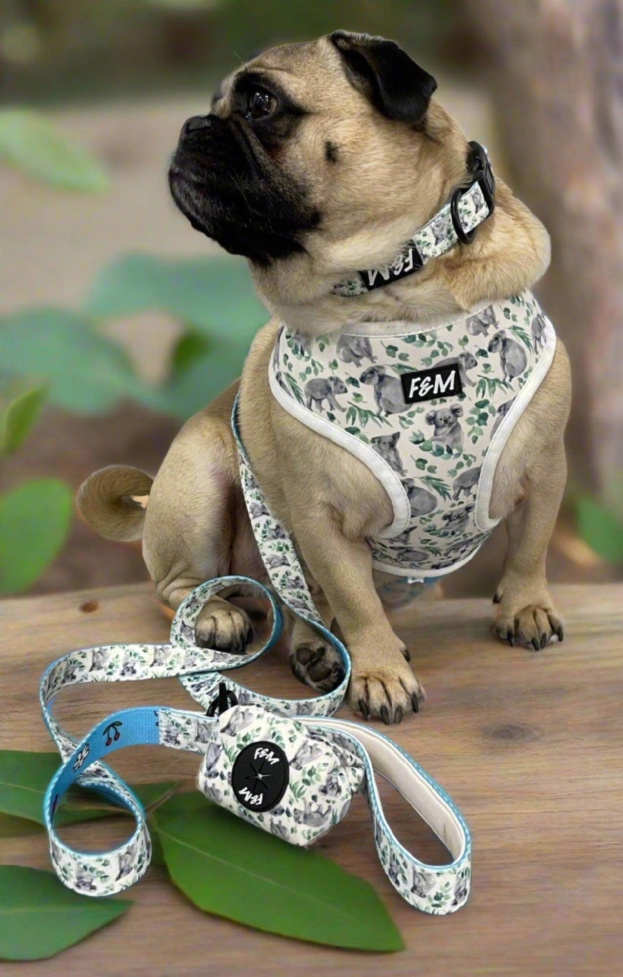 Fifi & Max Dog Koala Reversible Harness Set 6 Piece