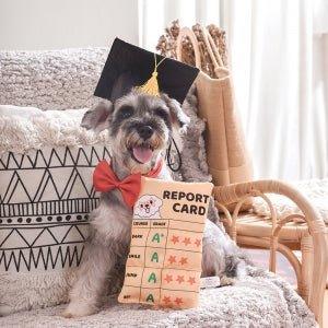 Fuzzy Friendz Dog Toy Bark To School Report Card