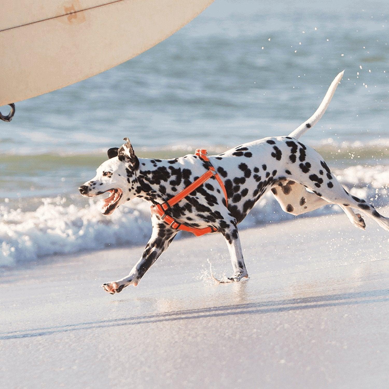 Rogz Step-in Harness