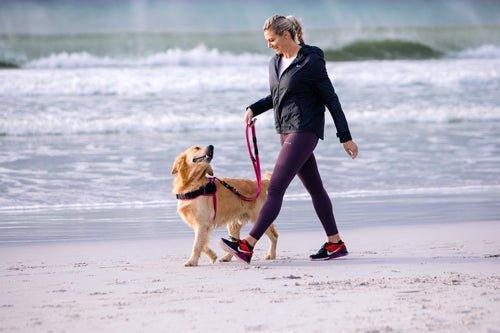 Rogz Airtech Multi Lead