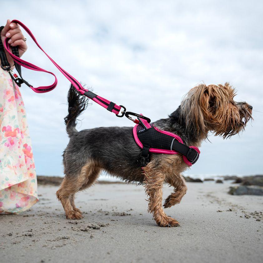 Rogz Airtech Sport Harness