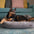 Rogz Nova Walled Bed