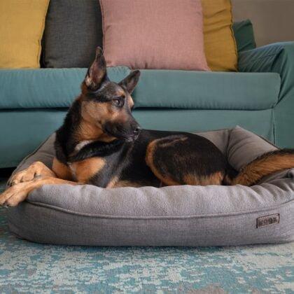 Rogz Nova Walled Bed