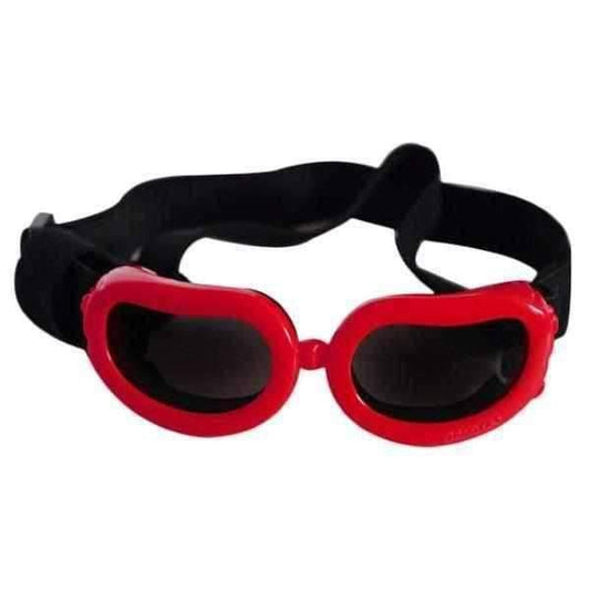 Dog Goggles Jelly Bean
