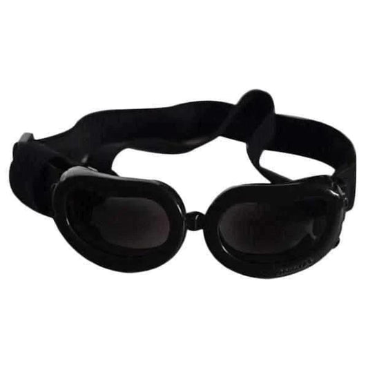 Dog Goggles Jelly Bean