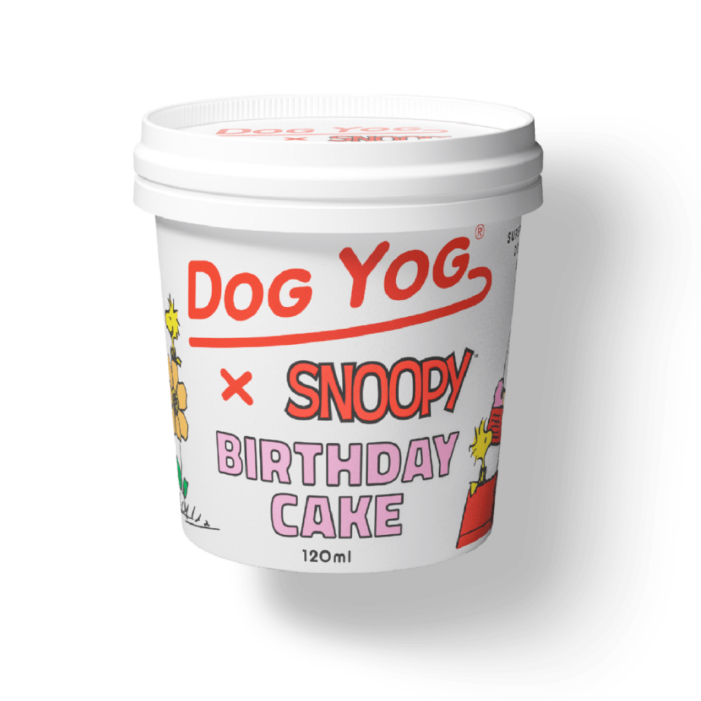 Dog Yog Prebiotic Ice Cream 120ml (pickup Only) [COL:Rocky Road]