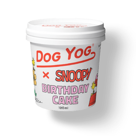 Dog Yog Prebiotic Ice Cream 120ml (pickup Only) [COL:Rocky Road]