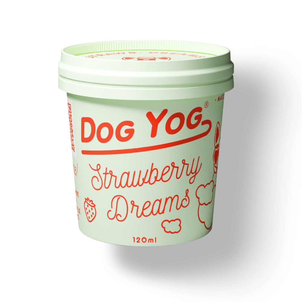 Dog Yog Prebiotic Ice Cream 120ml (pickup Only) [COL:Snoopy Birth]