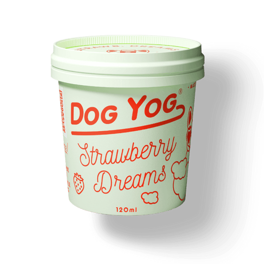 Dog Yog Prebiotic Ice Cream 120ml (pickup Only)