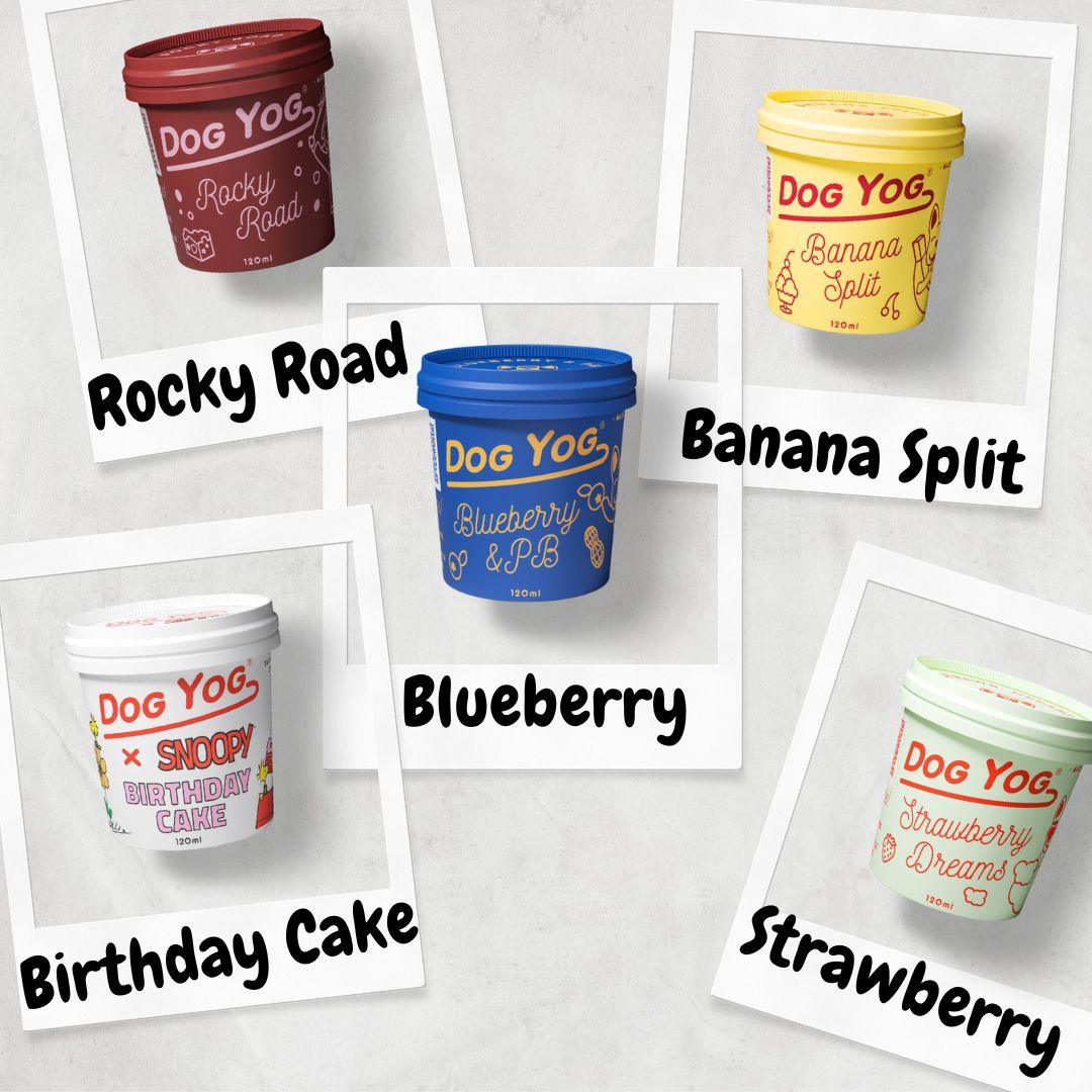 Dog Yog Prebiotic Ice Cream 120ml (pickup Only)