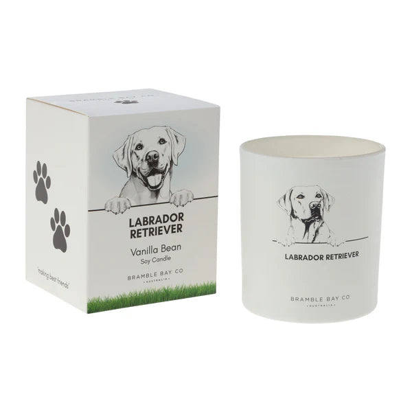 Pet Collection Soy Candle 300g [DOG:Border Colli]