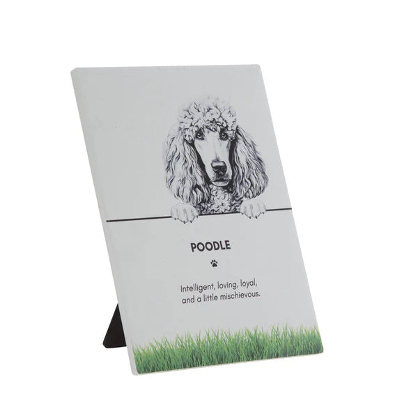 Pet Collection Plaques [DOG:Cavoodle]