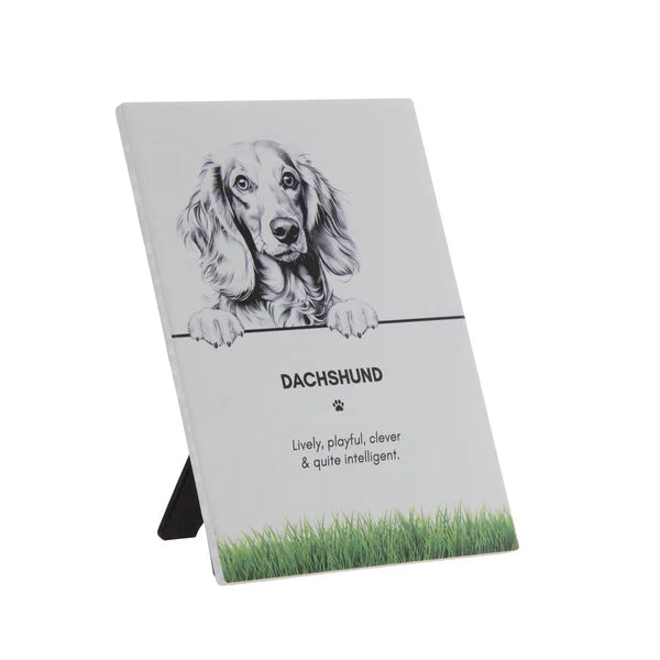 Pet Collection Plaques [DOG:Labrador Ret]