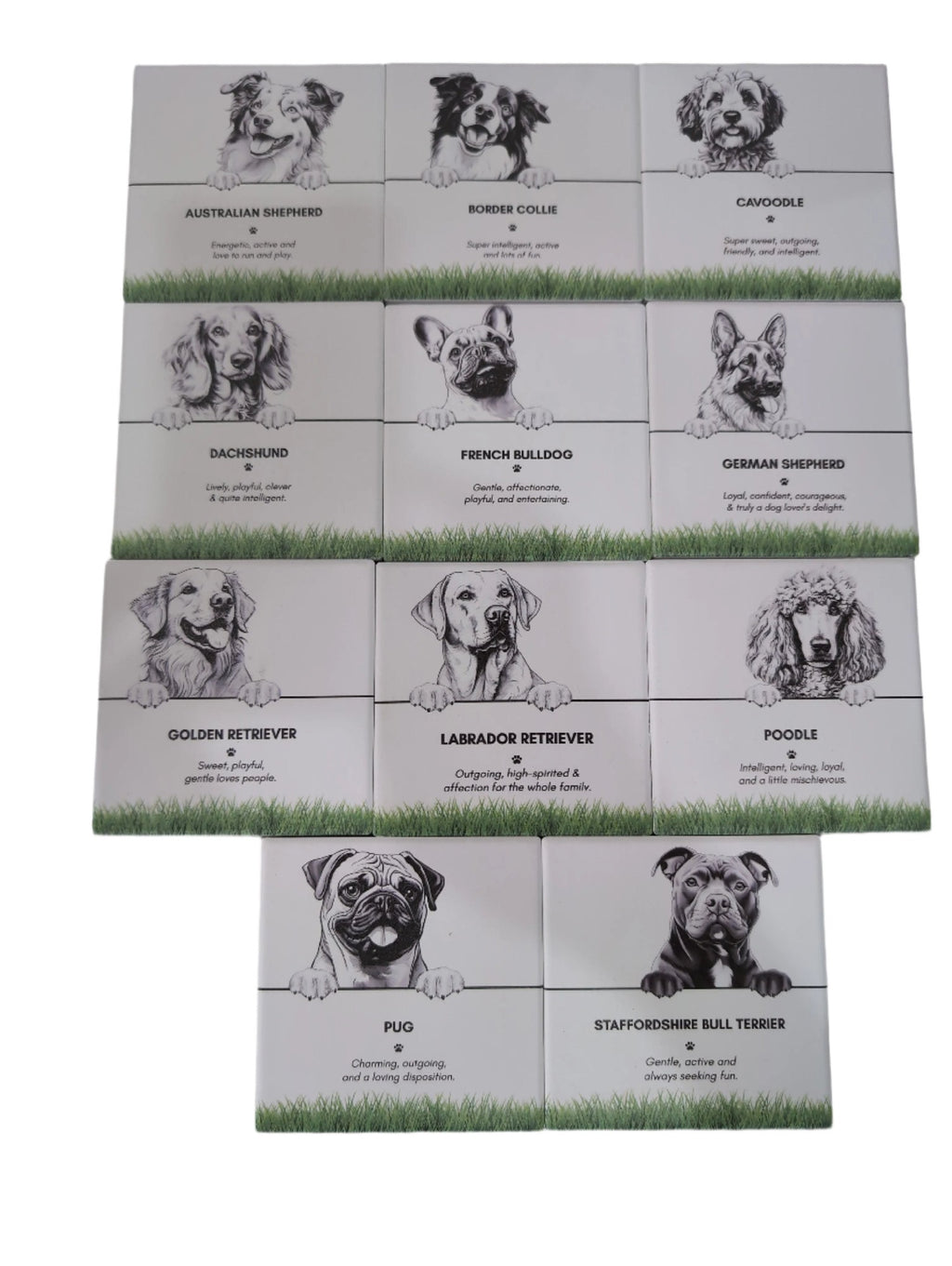 Pet Collection Coasters [DOG:Australian S]