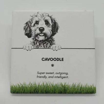 Pet Collection Coasters