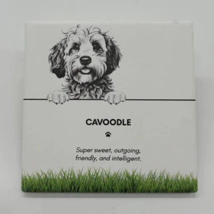 Pet Collection Coasters [DOG:Cavoodle]