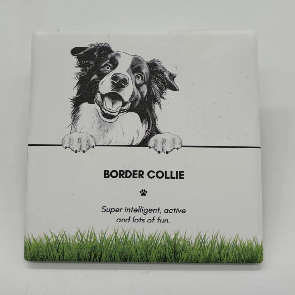 Pet Collection Coasters [DOG:Dachshund]